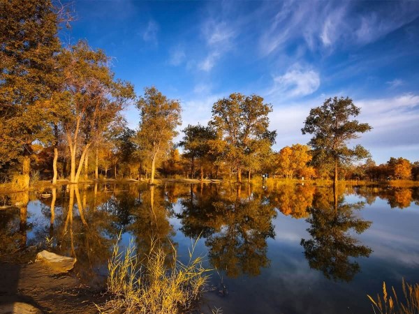 MÙA THU TÂY AN - CAM TÚC ĐẸP LÃNG MẠN THẾ NÀO KHI RỪNG HỒ DƯƠNG KHOÁC ÁO VÀNG RỰC RỠ TOUR CON ĐƯỜNG TƠ LỤA HÀ NỘI TÂY AN ĐÔN HOÀNG THÁP ĐẠI NHẠN MINH CÁT SƠN NGUYỆT NHA TUYỀN NÚI CẦU VỒNG 8 NGÀY 7 ĐÊM TỪ HÀ NỘI 