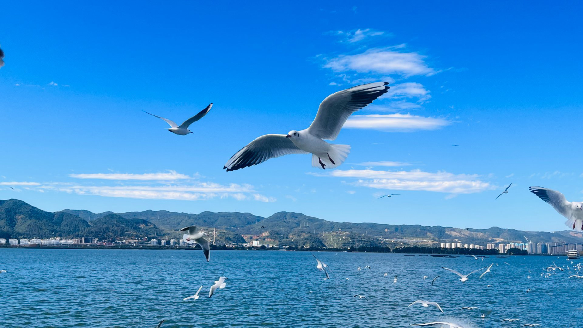 TOUR ĐƯỜNG BỘ VÂN NAM TRUNG QUỐC GIÁ RẺ HÀ NỘI - HÀ KHẨU – THẠCH LÂM – CÔN MINH – HỒ ĐIỀN TRÌ - KIỆU TỬ SƠN – KIẾN THUỶ - MÔNG TỰ 5 NGÀY 4 ĐÊM NHIỀU ĐIỂM CHECK IN MỚI LẠ ĐẶC SẮC 