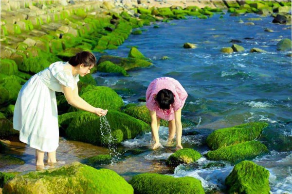 TOUR HÀ NỘI QUY NHƠN - PHÚ YÊN - TỪ EO GIÓ TỚI GHỀNH ĐÁ ĐĨA THONG DONG TRÊN NHỮNG CUNG ĐƯỜNG BIỂN CÁT TRẮNG MÊNH MÔNG 