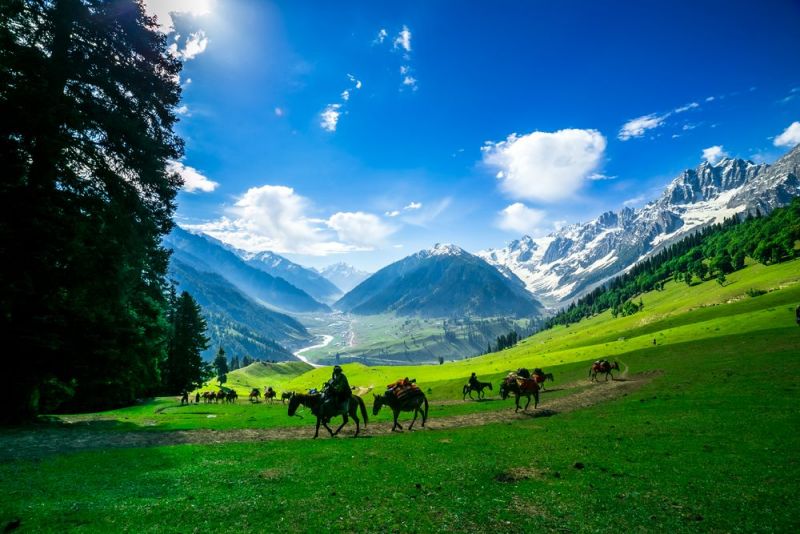 TOUR DU LỊCH KASMIR TỪ HÀ NỘI - THUNG LŨNG SONAMARG -GULMARG  THIÊN ĐƯỜNG NƠI HẠ GIỚI