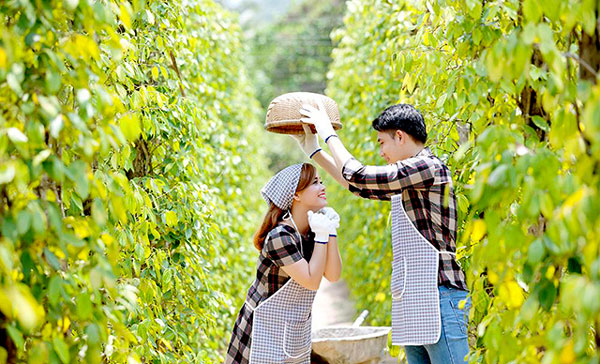 HÀ NỘI - PHÚ QUỐC- BÃI SAO- HỘ QUỐC VINPEARLAND