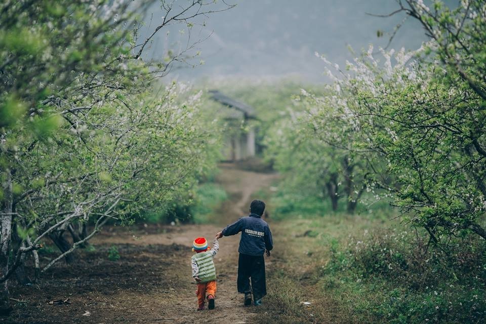 HÀ NỘI -MỘC CHÂU-SƠN LA - ĐIỆN BIÊN 