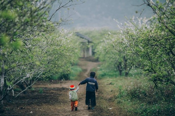 HÀ NỘI -MỘC CHÂU-SƠN LA - ĐIỆN BIÊN 