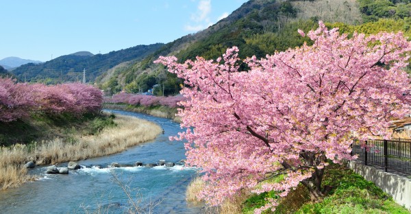 HÀ NỘI - TOKYO – PHÚ SỸ – NAGOYA – KYOTO – OSAKA