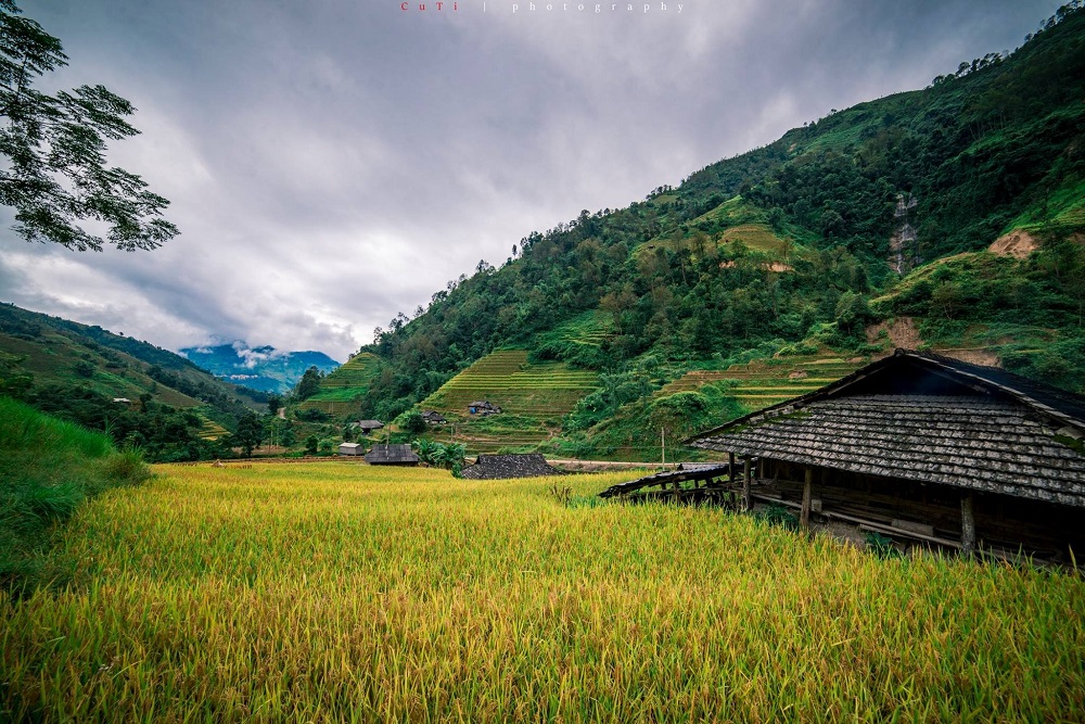 HÀ NỘI -HOÀNG SU PHÌ-SIMACAI - BẮC HÀ 