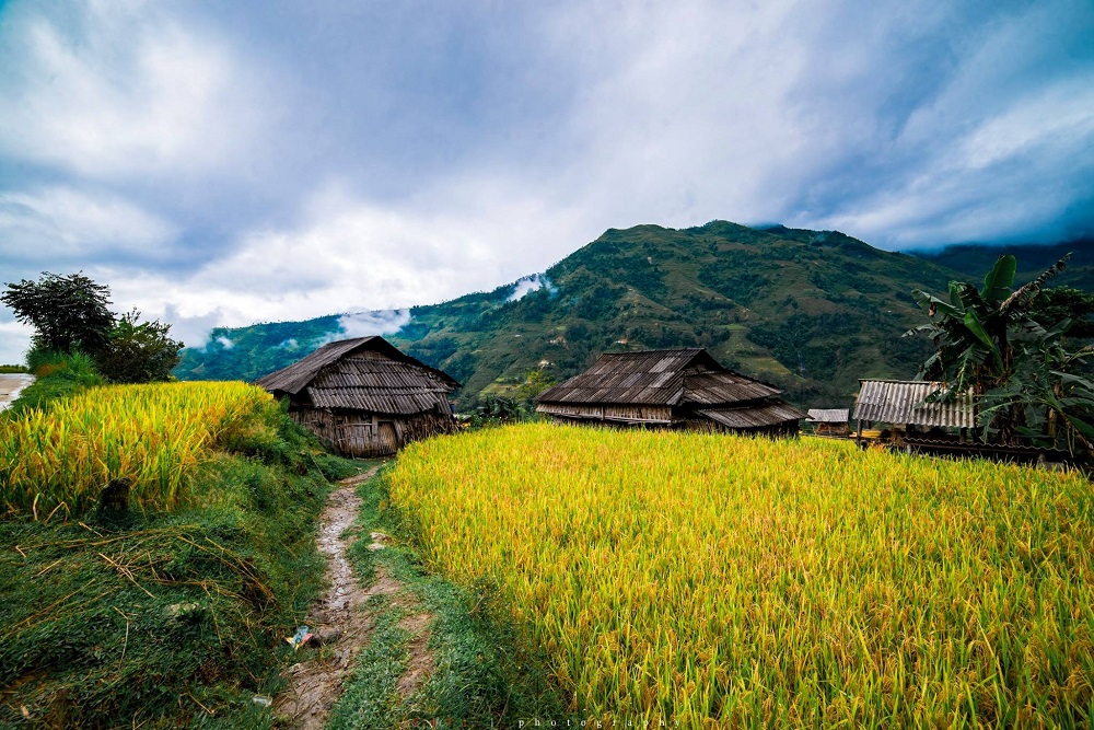 HÀ NỘI -HOÀNG SU PHÌ-SIMACAI - BẮC HÀ 