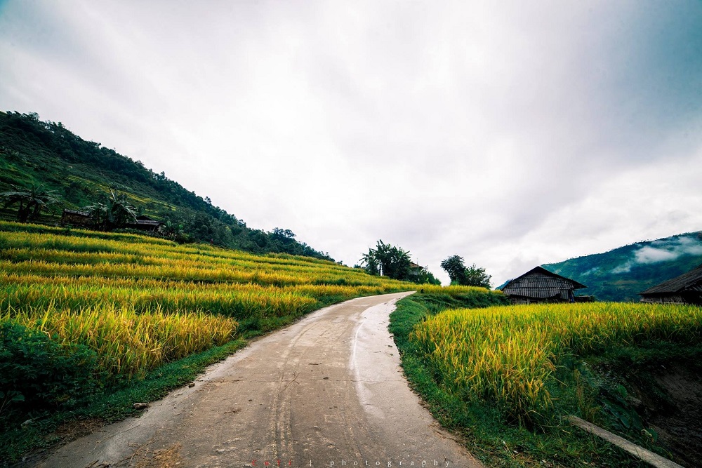HÀ NỘI -HOÀNG SU PHÌ-SIMACAI - BẮC HÀ 