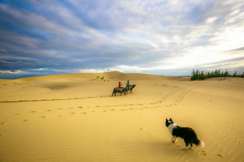 TOUR HÀ NỘI - NHA TRANG - NINH THUẬN 4 NGÀY 3 ĐÊM KHỞI HÀNH TỪ HÀ NỘI TRỌN GÓI GIÁ RẺ 
