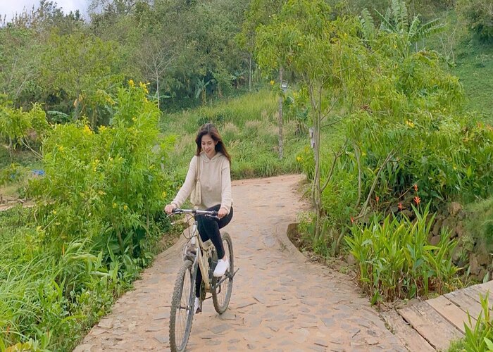 TIẾNG GỌI ĐẠI NGÀN TÂY NGUYÊN ĐÓN KHÁCH TỪ HÀ NỘI VÀ CÁC TỈNH MIỀN BẮC  – ĐÀ LẠT – BUÔN MÊ THUỘT HỒ LAK BUÔN ĐÔN BẢO TÀNG CAFE TRUNG NGUYÊN TOUR 5 NGÀY 4 ĐÊM ĐẶC SẮC NGẮM MÙA HOA CAFE KHI CHỚM HÈ 